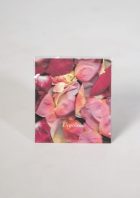 Marguerite Rouan - Non Fiction