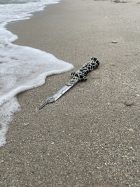 Youri Jonhson : Staying With The Darkness - Non Fiction