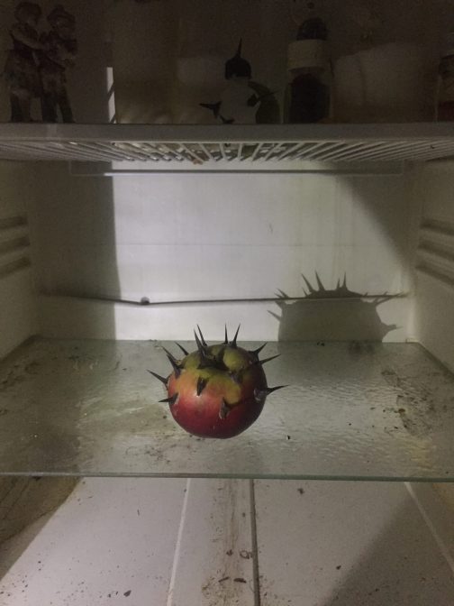 un art du compost - Non Fiction