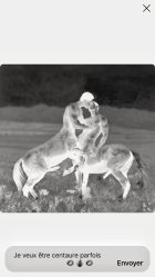 Youri Jonhson : Staying With The Darkness - Non Fiction